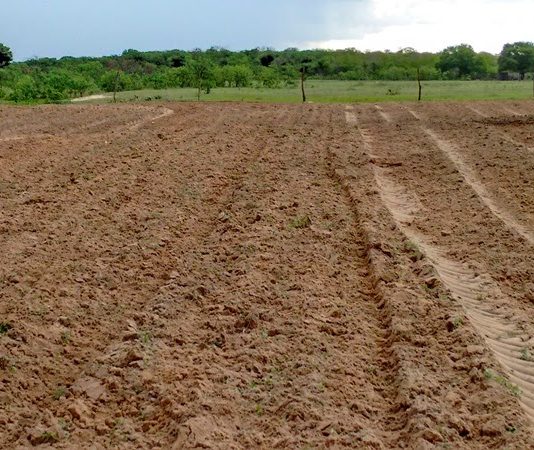 Secretaria de Agricultura de São Bento já beneficiou 350 produtores rurais com cortes de terra em 2018