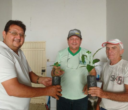 Prefeitura Municipal de São Bento distribui 600 mudas com população e demonstra cuidado com o Meio Ambiente