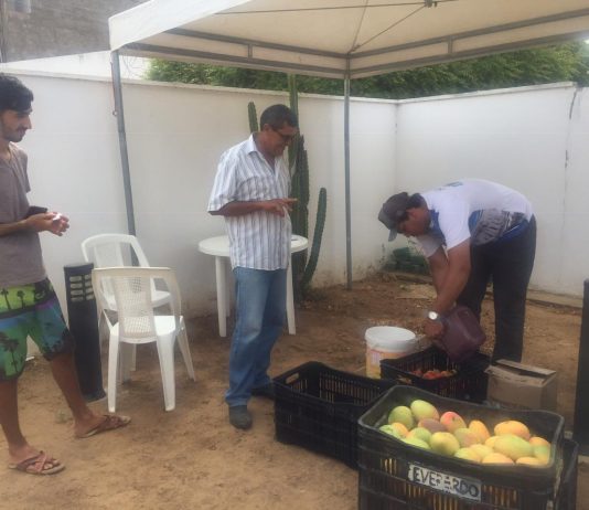 Prefeitura Municipal de São Bento faz a 1ª compra direta a agricultores beneficiados com o Programa de Aquisição de Alimentos (PAA)