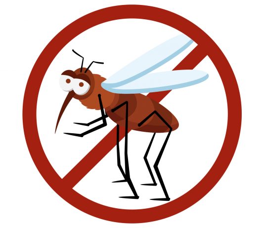 Prefeitura de São Bento realiza Semana de Mobilização Intersetorial de Combate ao Aedes Aegypti