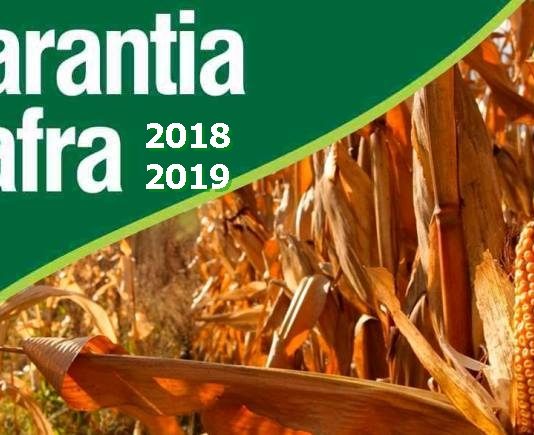 Secretaria de Agricultura de São Bento entrega Boletos Bancários a agricultores beneficiados pelo Garantia-Safra 2018/2019