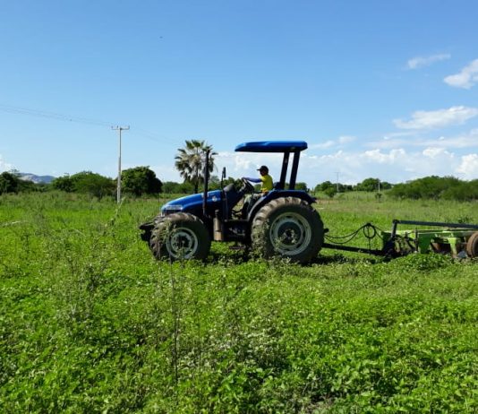 Prefeitura Municipal de São Bento beneficia agricultores com cortes de terra