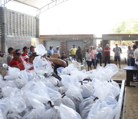 Prefeitura de São Bento beneficia produtores rurais com distribuição de alevinos