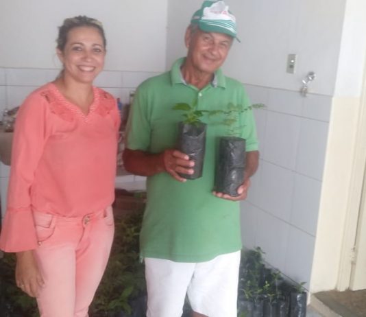 Secretaria de Meio Ambiente realiza distribuição de mudas para população