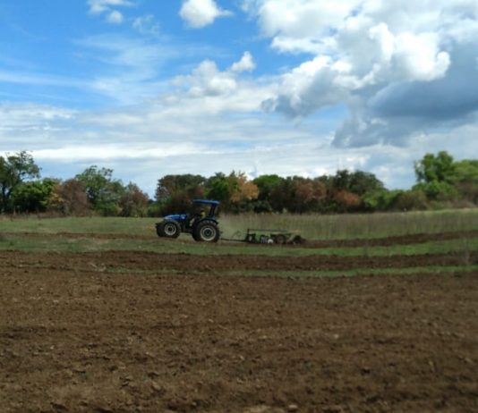 Prefeitura de São Bento inicia corte de terras para agricultores da Zona Rural