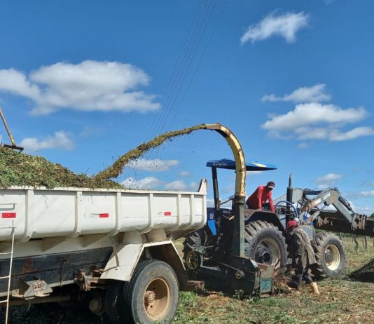 Prefeitura de São Bento inicia Programa de Produção de Silagem para pequenos agricultores
