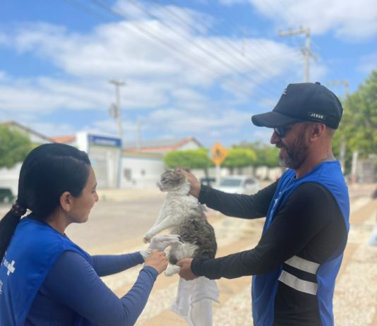 Prefeitura de São Bento imuniza mais de mil e cem animais no DIA D de Vacinação antirrábica
