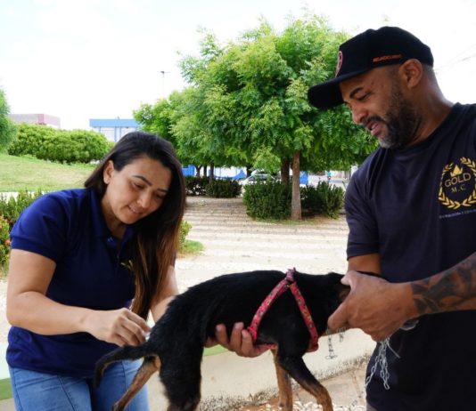 Prefeitura de São Bento imuniza 1.722 animais no Dia D de Vacinação Antirrábica, realizado no último sábado (23)