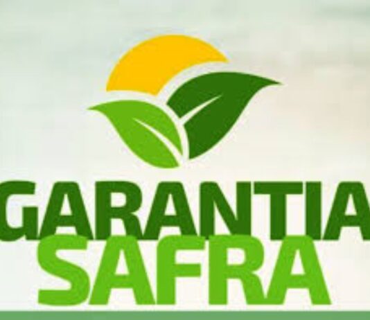 Mais de cento e setenta agricultores de São Bento já receberam o Garantia-Safra em 2024