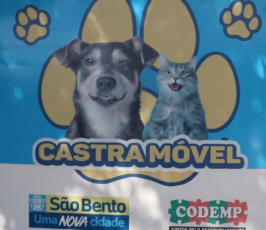 Prefeitura de São Bento já realizou cento e trinta e sete castrações de animais por meio do Castramóvel