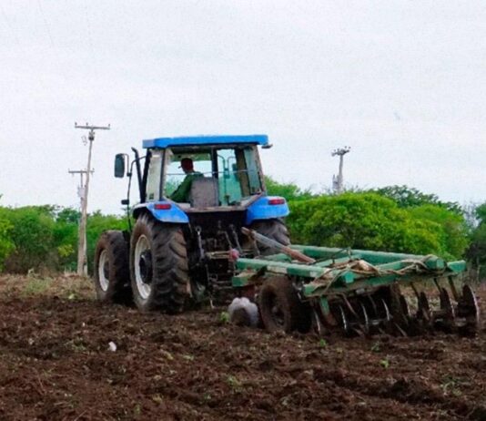 Prefeitura Municipal de São Bento inicia corte de terras para agricultores da zona rural visando ao plantio de 2025