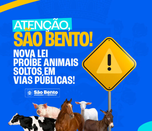 Prefeitura de São Bento passa a apreender animais em vias públicas e responsabilizar proprietários