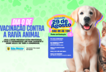 São Bento realiza Dia D de Vacinação contra a Raiva Animal neste sábado (29)